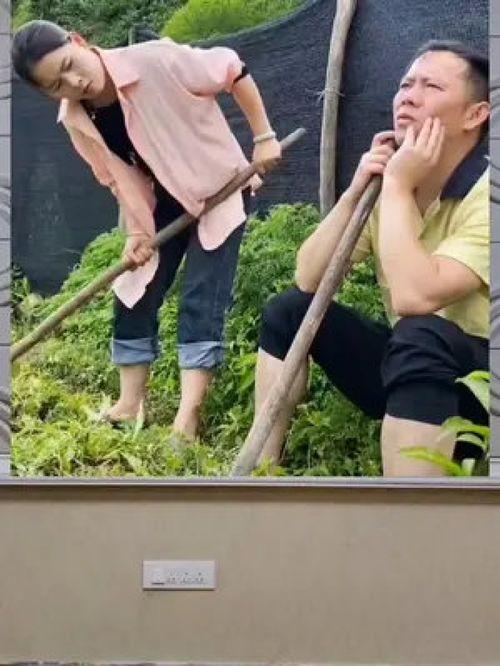 八卦娱乐是吃瓜群众的,揭秘吃瓜群众的狂欢盛宴